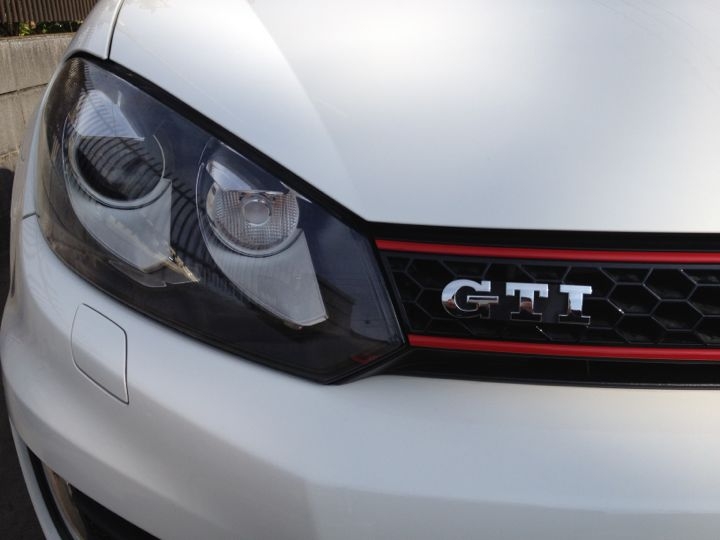 新しい相棒の名は、、、